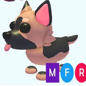 MFR German Shepard