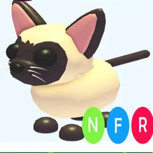 NFR Siamese cat-adopt me