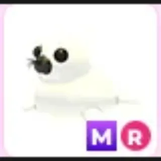 MR harp seal-adopt me
