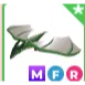 MFR Wyvern | Adopt Me