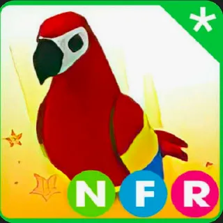 NFR Parrot