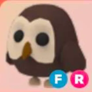 FR Owl