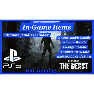 Ultimate Bundle PS5