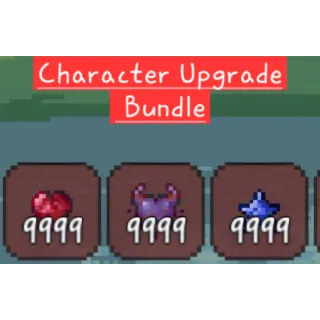 Character Upgrade Bundle
