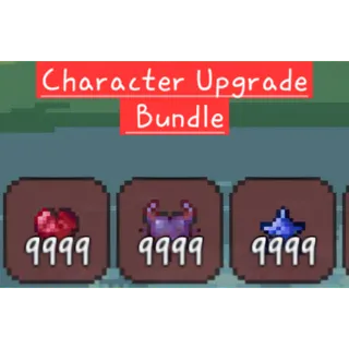 Character Upgrade Bundle
