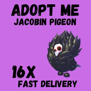 16X ACOBIN PIGEON ADOPT -  ME 