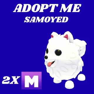SAMOYED 2X MEGA  - ADOPT ME 