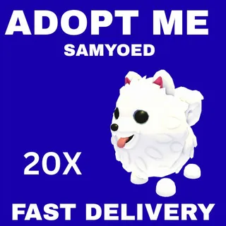 20X SAMYOED - ADOPT ME