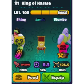 King of karate sw 5s nc pp