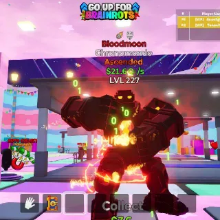Go Up For Brainrots