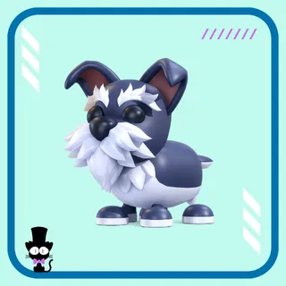 Mini Schnauzer - Fast & Safe Delivery | Cheap Pet