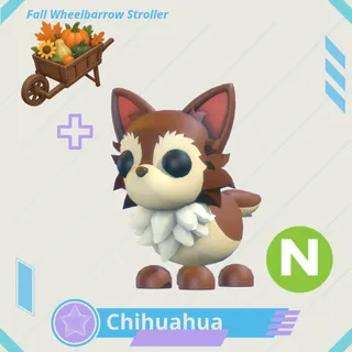Neon Chihuahua