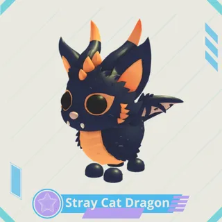 Stray Cat Dragon 