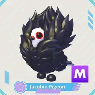 Jacobin Pigeon