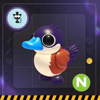 4x Neon Ruddy Duck