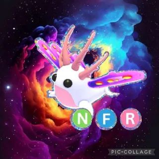 NFR Sea Slug