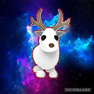 FR Arctic Reindeer