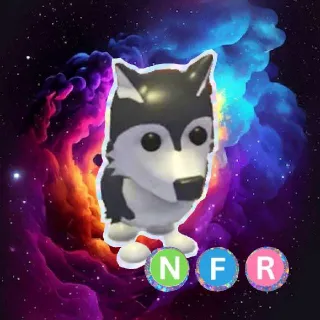 NFR Husky
