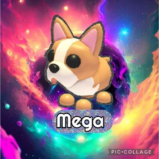 Mega French Bulldog