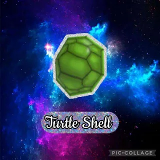 Turtle Shell