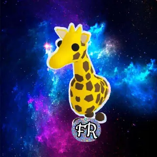 FR Giraffe