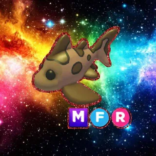 MFR Leopard Shark