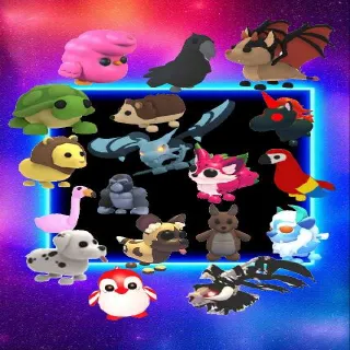 Mids/High Tier Bundle