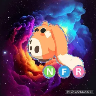 NFR Cabbit