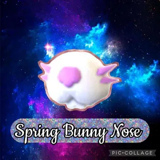 Spring Bunny Nose