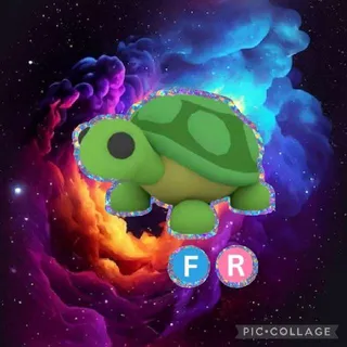 FR Turtle
