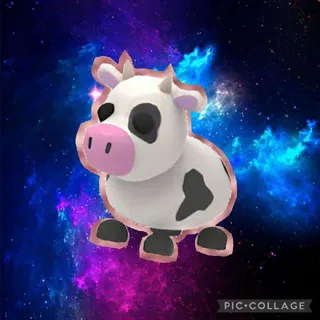FR Cow