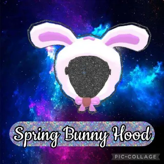 Spring Bunny Hood