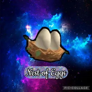 Nest Of Eggs
