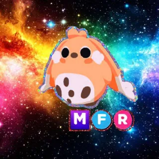 MFR Cabbit