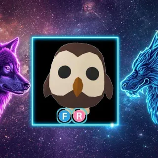 FR Owl