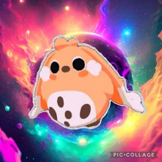 Cabbit