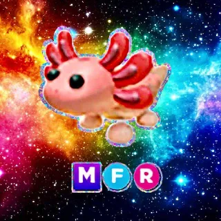MFR Axolotl