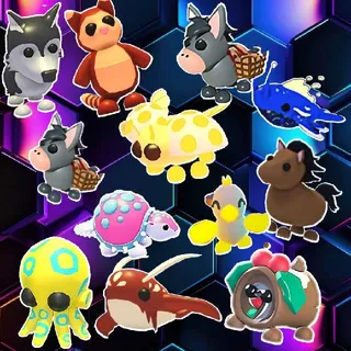 12x Exotic Neon Bundle