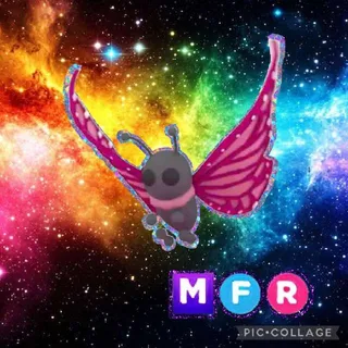 MFR 2021 Uplift Butterfly