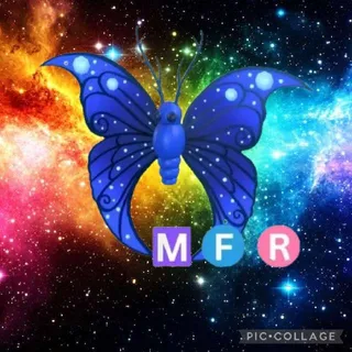 MFR Moonbeam Butterfly