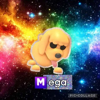Mega Toy Poodle