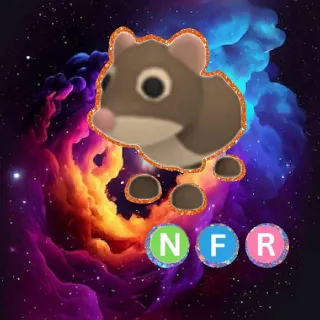 NFR Shrew