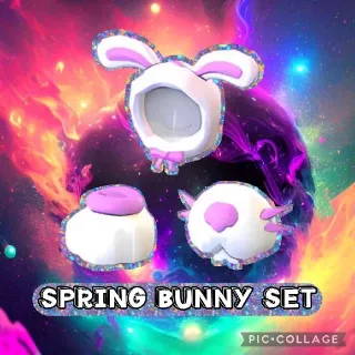 Spring Bunny Set