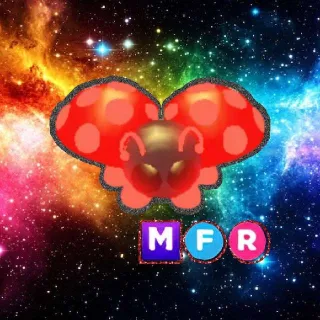 MFR Ladybug
