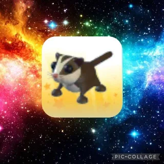 Sugar Glider