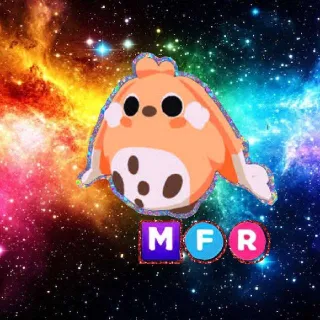 MFR Cabbit
