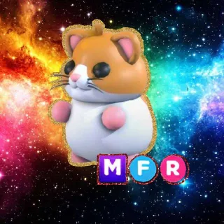 MFR Hamster