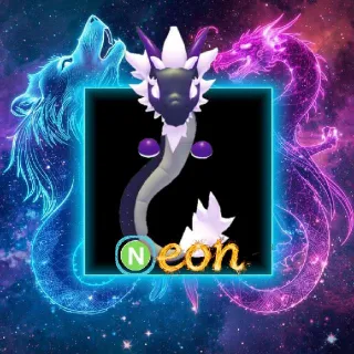 NFR Midnight Dragon