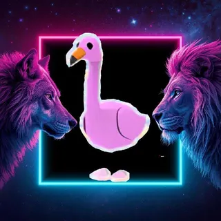 FR Flamingo