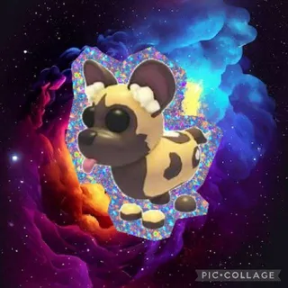 NFR African Wild Dog